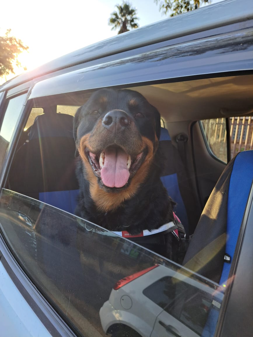 Who's a good boy?